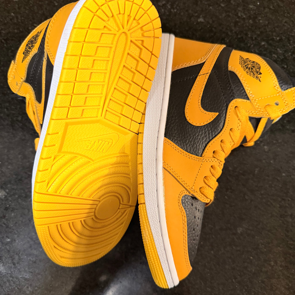 Jordan 1 Pollen