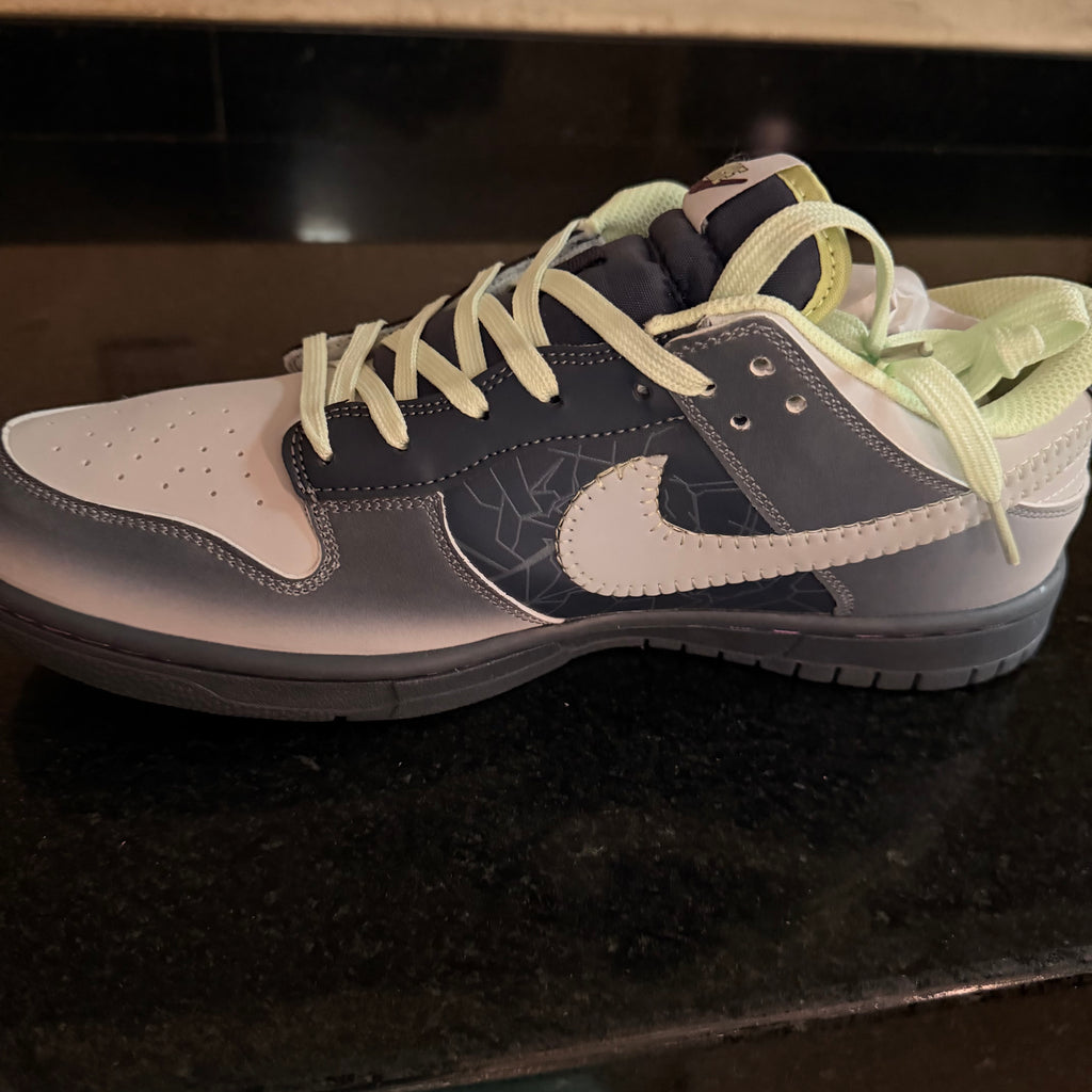 Dunk Fearless
