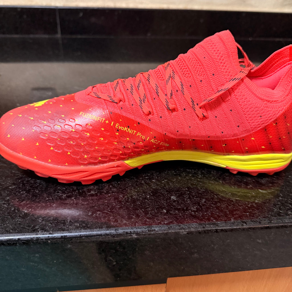 Puma Cage