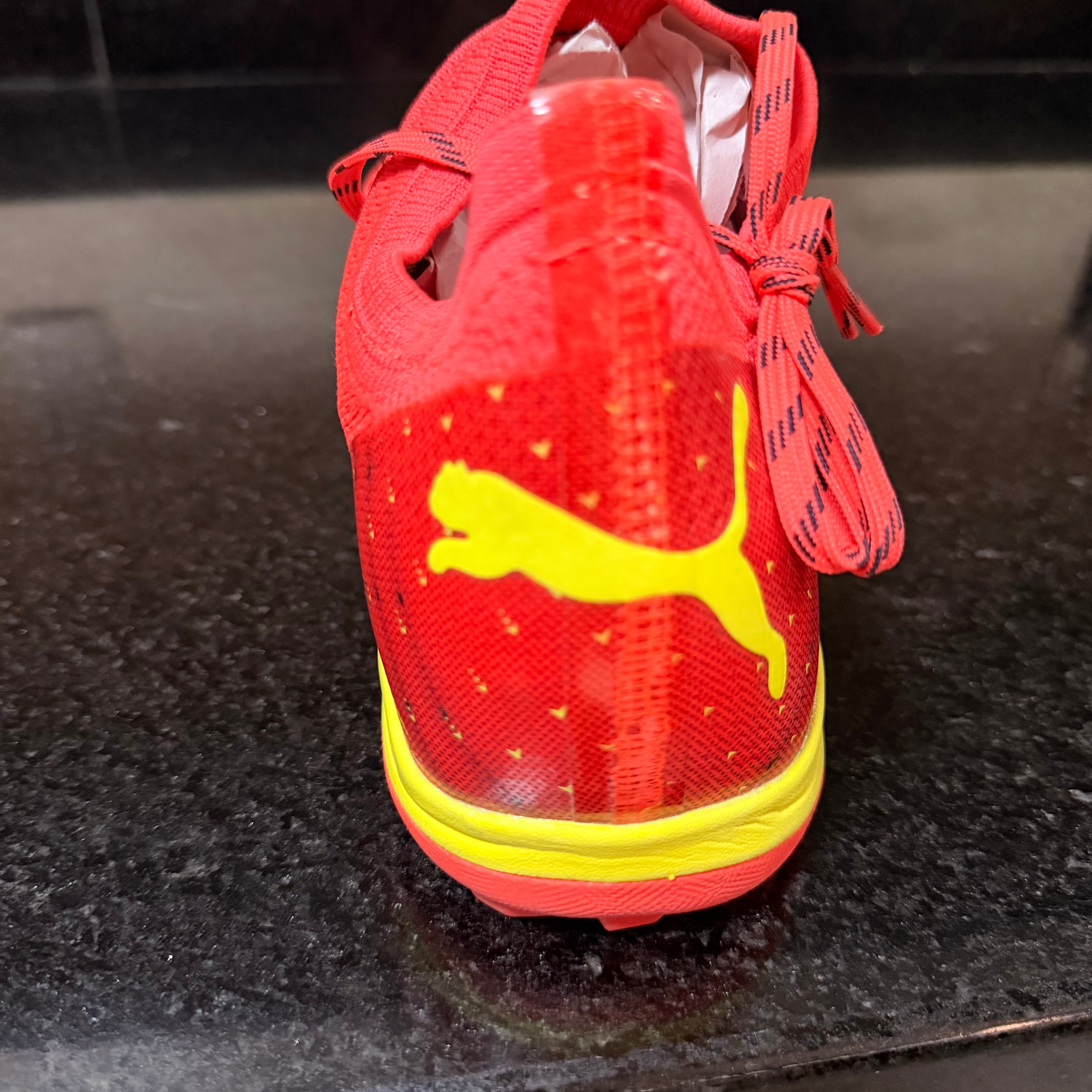 Puma Cage