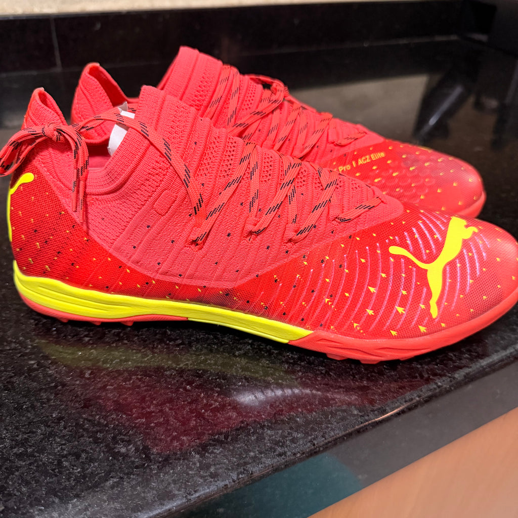 Puma Cage