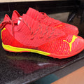 Puma Cage