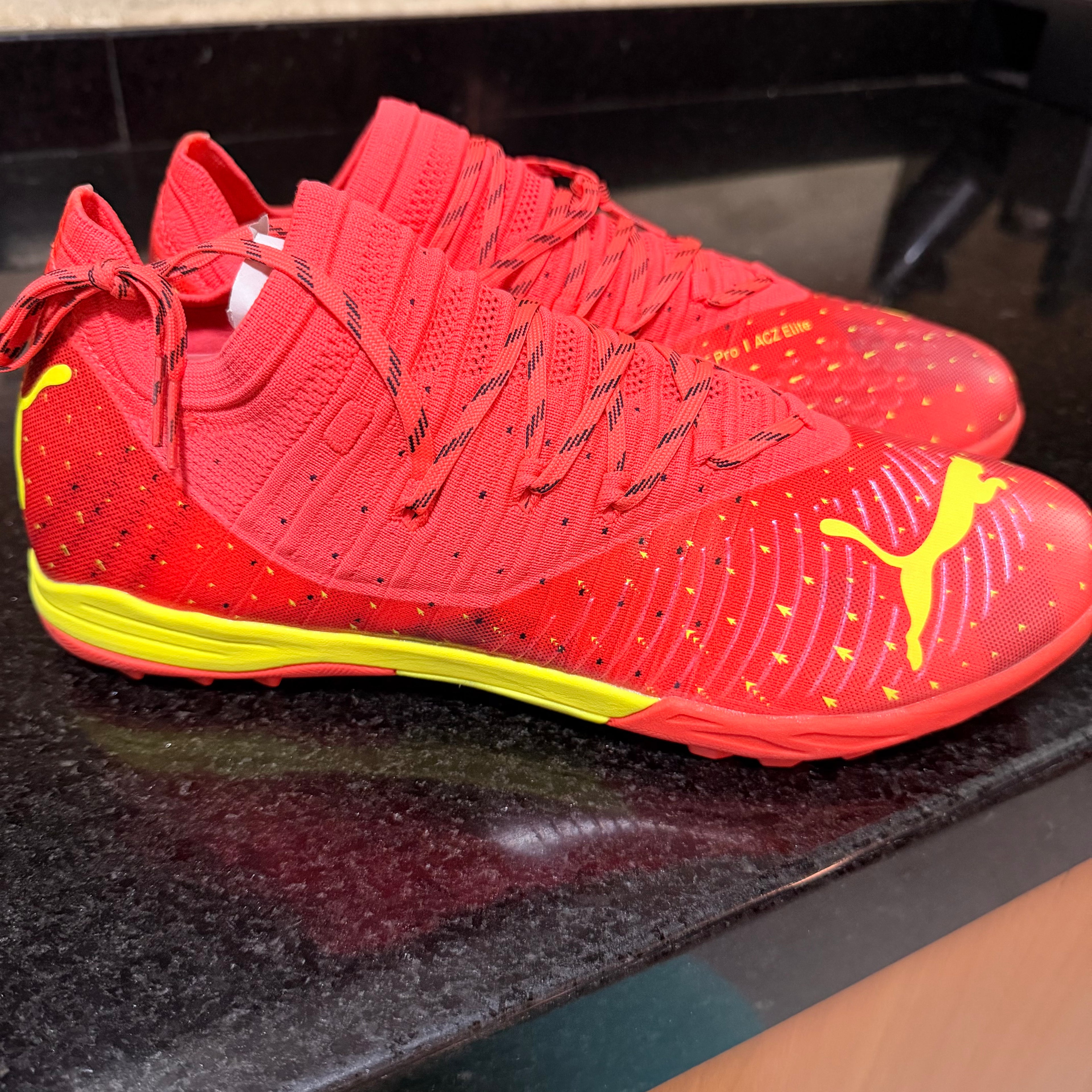 Puma Cage