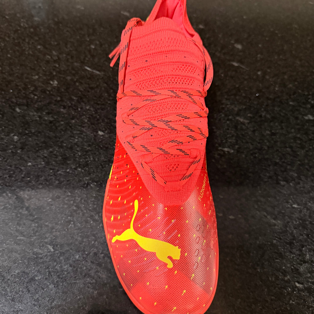 Puma Cage