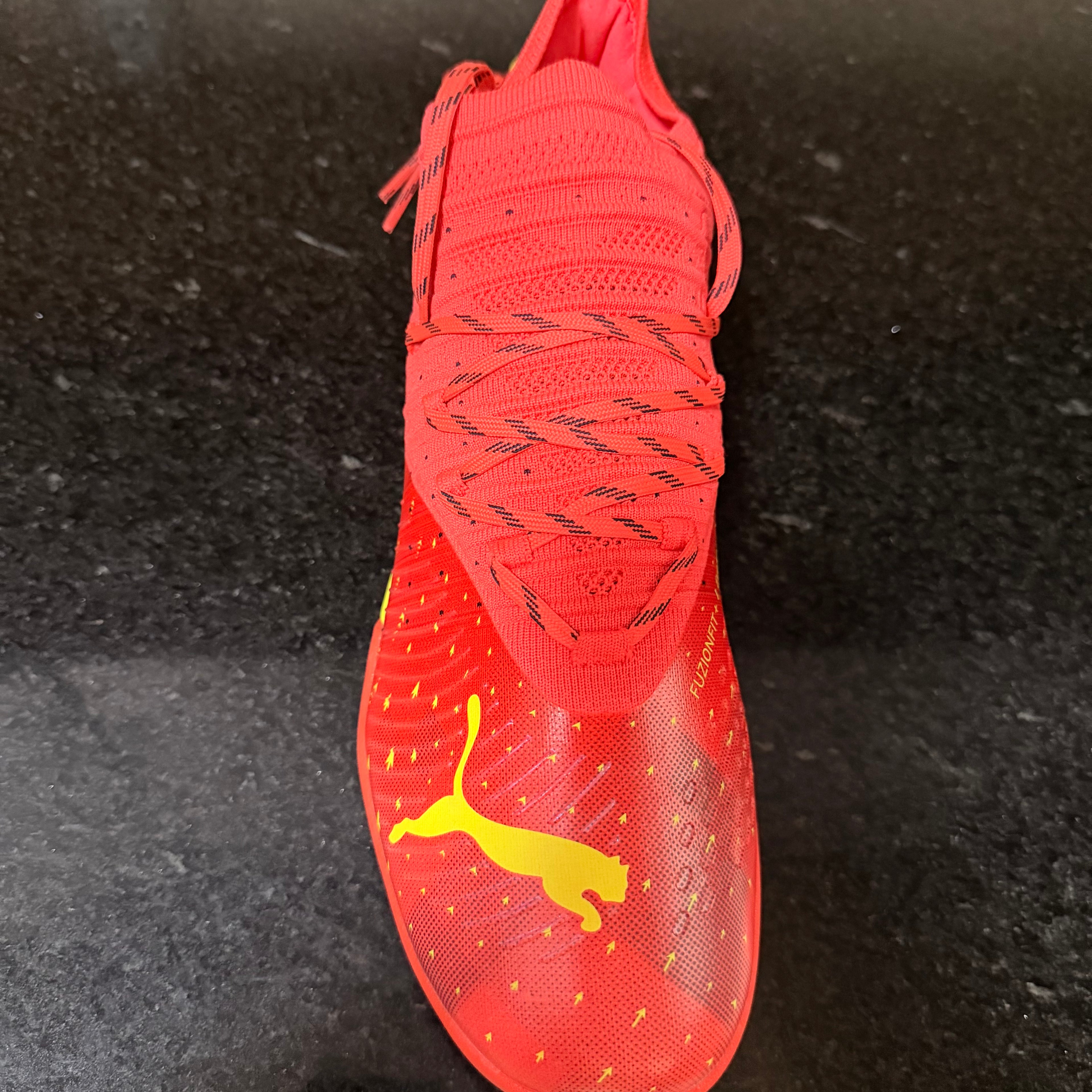 Puma Cage