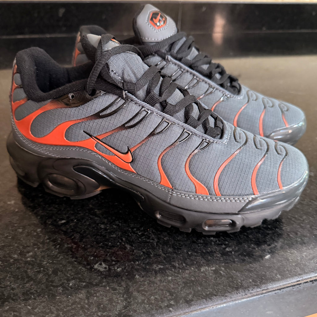 Air Max Plus Grey Lava